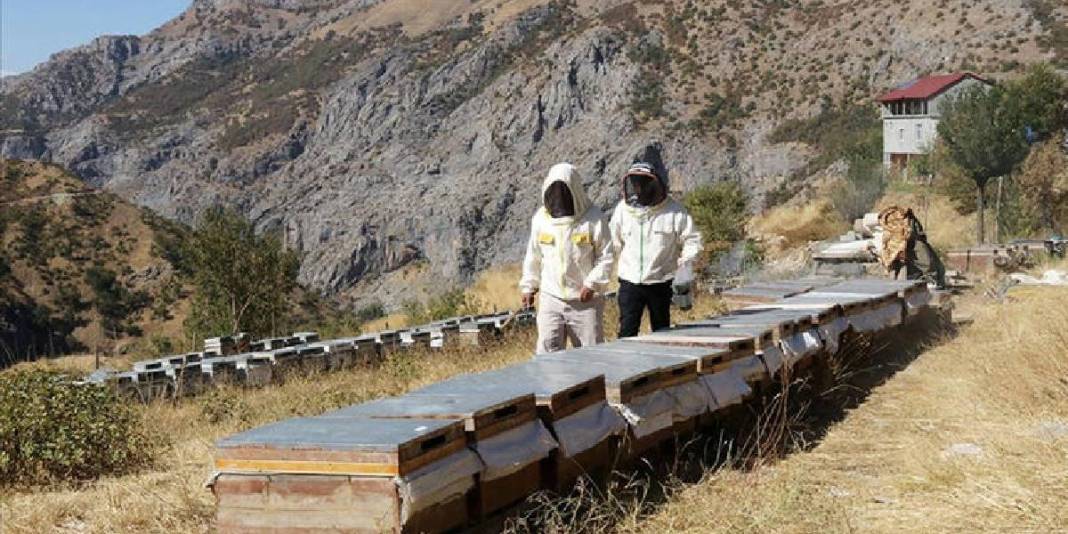 Boşaltılan köyüne özel izinle gitti, üretime geçti! Yılda 2,5 tona ulaşıyor: Geri dönüş için umut olduğunu düşünüyor 4
